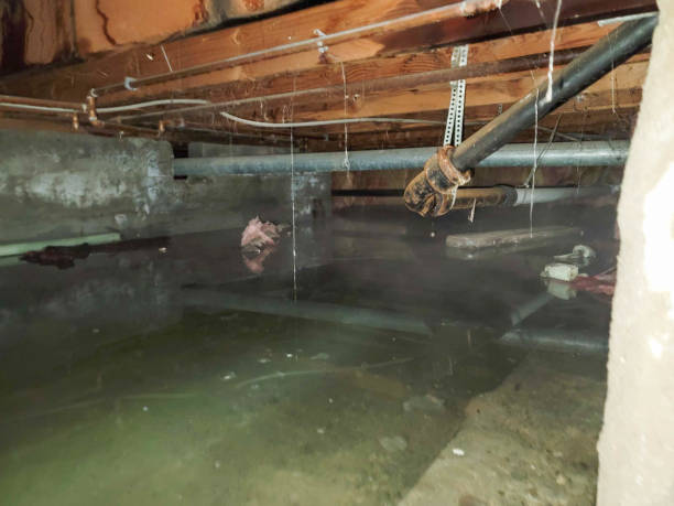  Freeport, NY Water damage restoration Pros