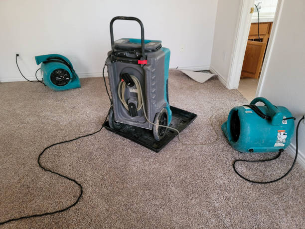Best 24/7 water damage repair  in Freeport, NY