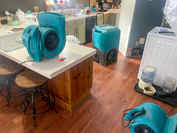 Best Ceiling water damage repair  in Freeport, NY