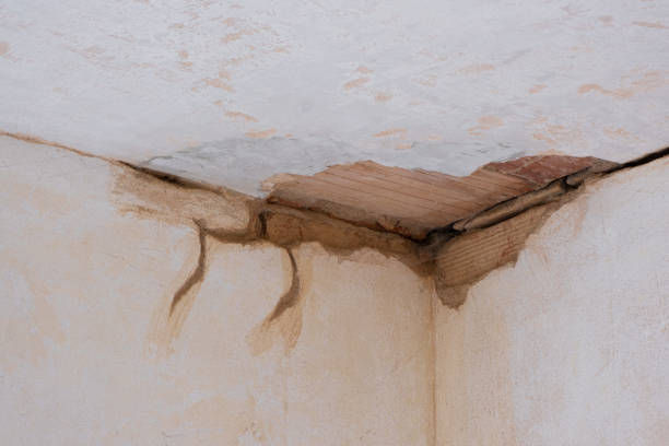 Best Ceiling water damage repair  in Freeport, NY
