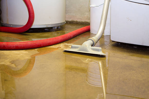 Best Water damage restoration near me  in Freeport, NY