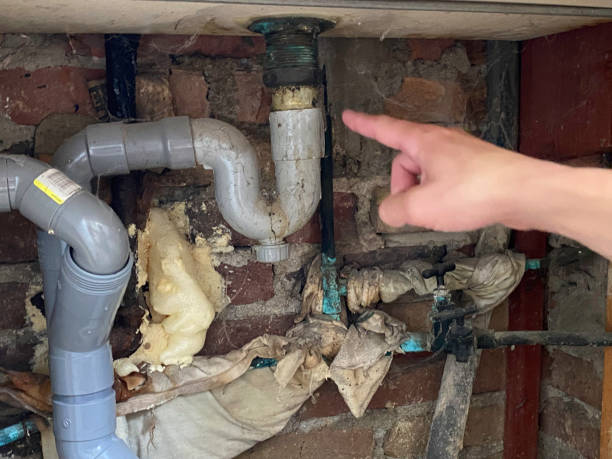 Best Water damage restoration services  in Freeport, NY