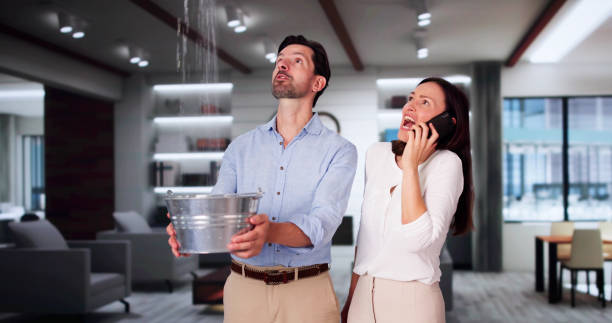  Freeport, NY Water damage restoration Pros