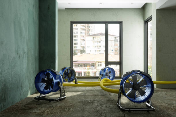 Best Commercial water damage restoration  in Freeport, NY