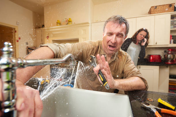 Best Flooded house restoration  in Freeport, NY